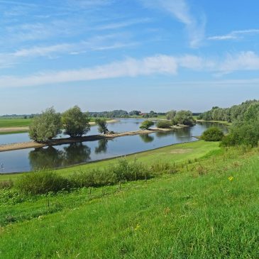 IJsselvallei (Zwarte Schaar)